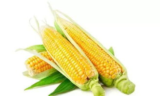 京東進軍蔬菜領域 以創新產品重新定義健康生活標準