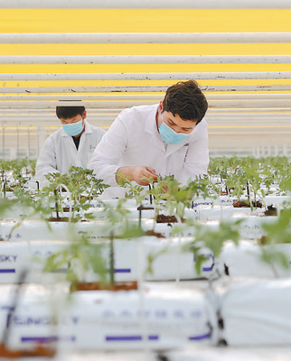 鄉(xiāng)村振興路正寬 計算機(jī)信息技術(shù)驅(qū)動農(nóng)業(yè)現(xiàn)代化新篇章