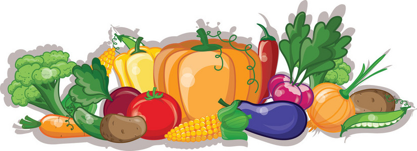 卡通蔬菜與水果 計算機(jī)信息技術(shù)在動畫與教育中的創(chuàng)新應(yīng)用